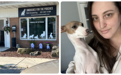 Saving Hours, Boosting Business: Groomer.io’s Impact on Smooches for the Pooches LLC