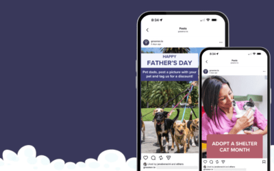 June Marketing Ideas for Groomers: Kick Off the Summer Rush