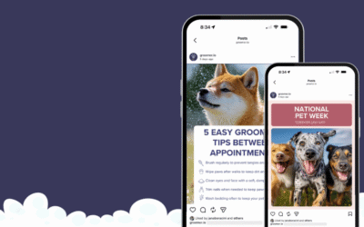 5 Fresh Grooming Marketing Ideas for May: Spring Into Action