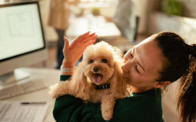 The Importance of Stretching for Groomers: Tips for Building a Healthy Routine