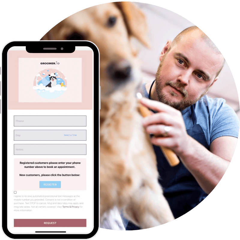 photo of large dog being groomed next to Groomer.io appointment request screen
