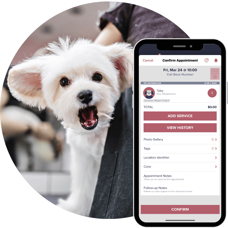 photo of small white dog being groomed next to Groomer.io appointment confirmation screen
