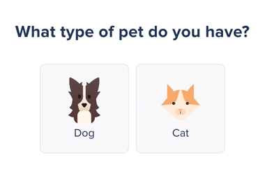 portion of Groomer.io interface that reads: What type of pet do you have? with icons of dog and cat to select from