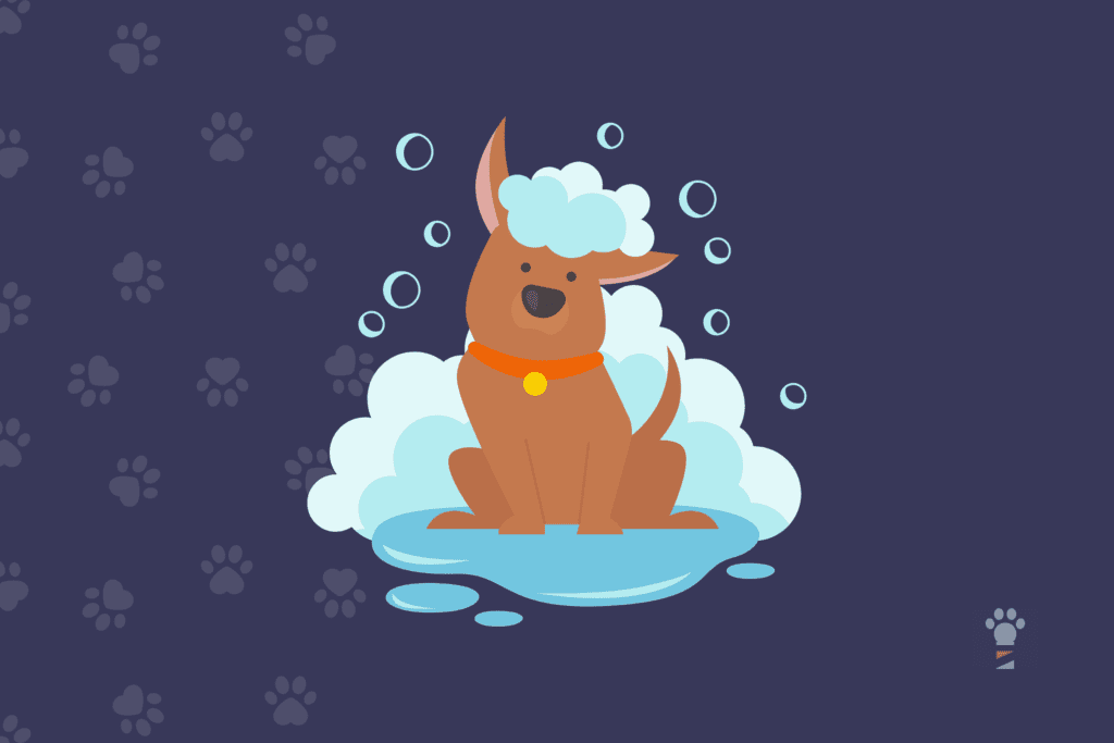 How To Market A Pet Grooming Business Groomer.io