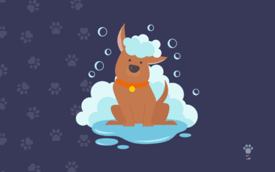 How to Market a Pet Grooming Business