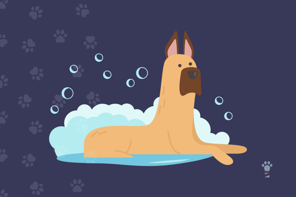 A Comprehensive Guide To Pet Grooming Business Management