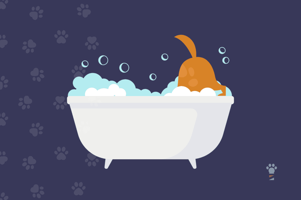 Selecting The Best Pet Grooming Software In 2023 | Groomer.io