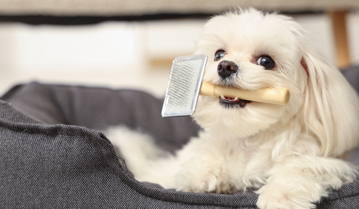 Maximizing Pet Grooming Bookings