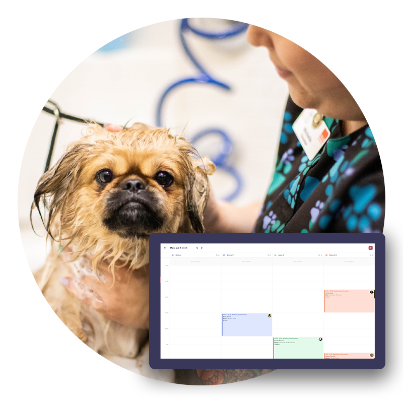 Mobile Groomers Smart Scheduling Built for Mobile Groomers