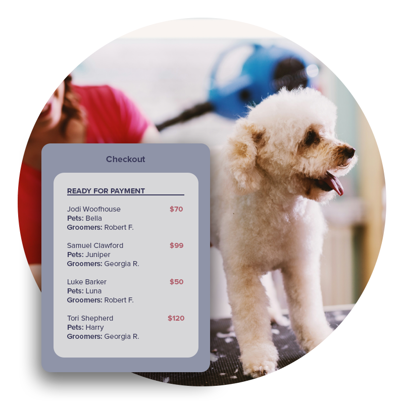 Payment Software Payroll Tools That Work As Hard As You Do