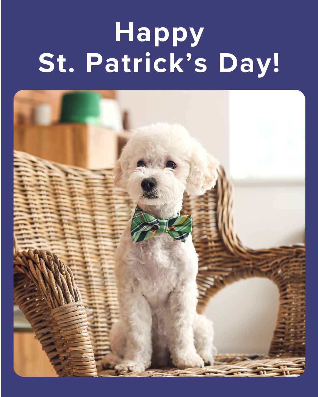 Happy St. Patrick’s Day 1