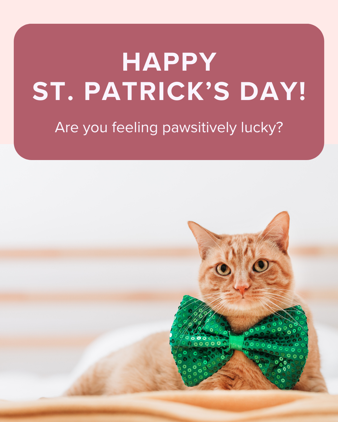 Happy St. Patrick’s Day 2