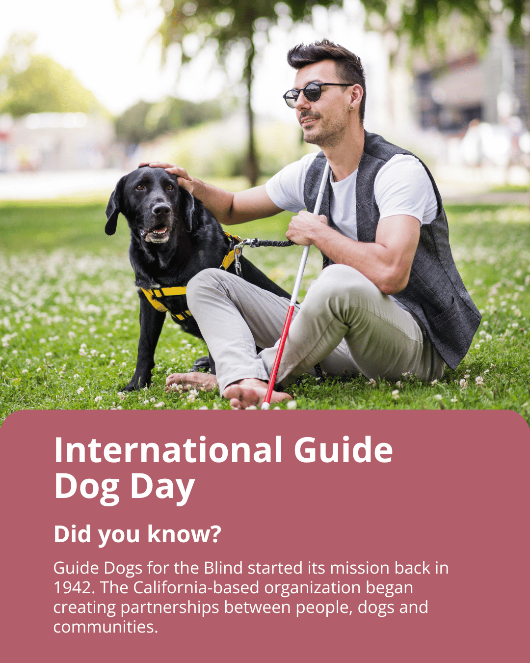 10 International Guide Dog DAy