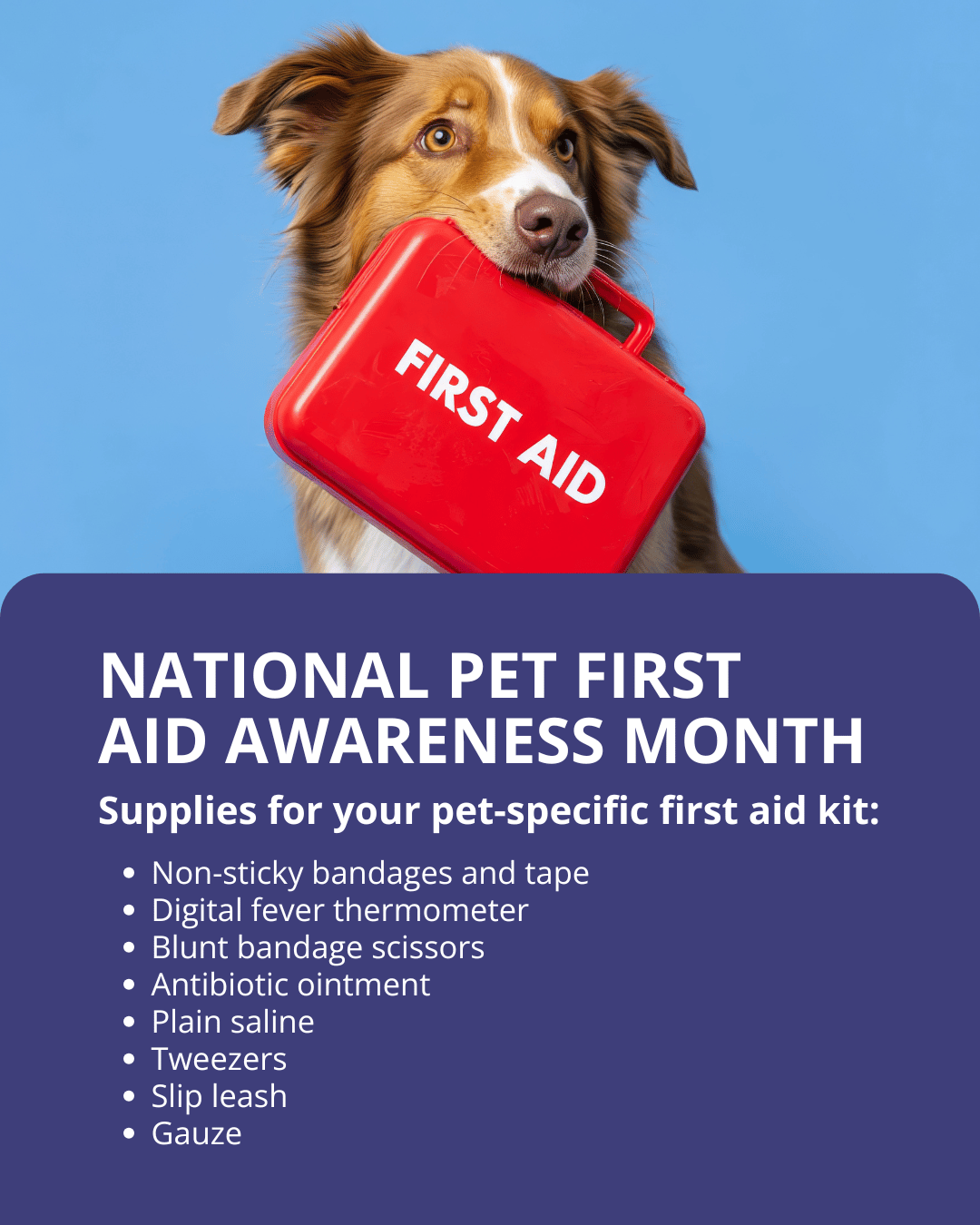 AID Pet First Aid Awareness Month