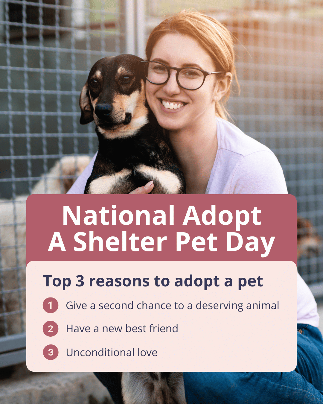 NASPD National Adopt a Shelter Pet DAy