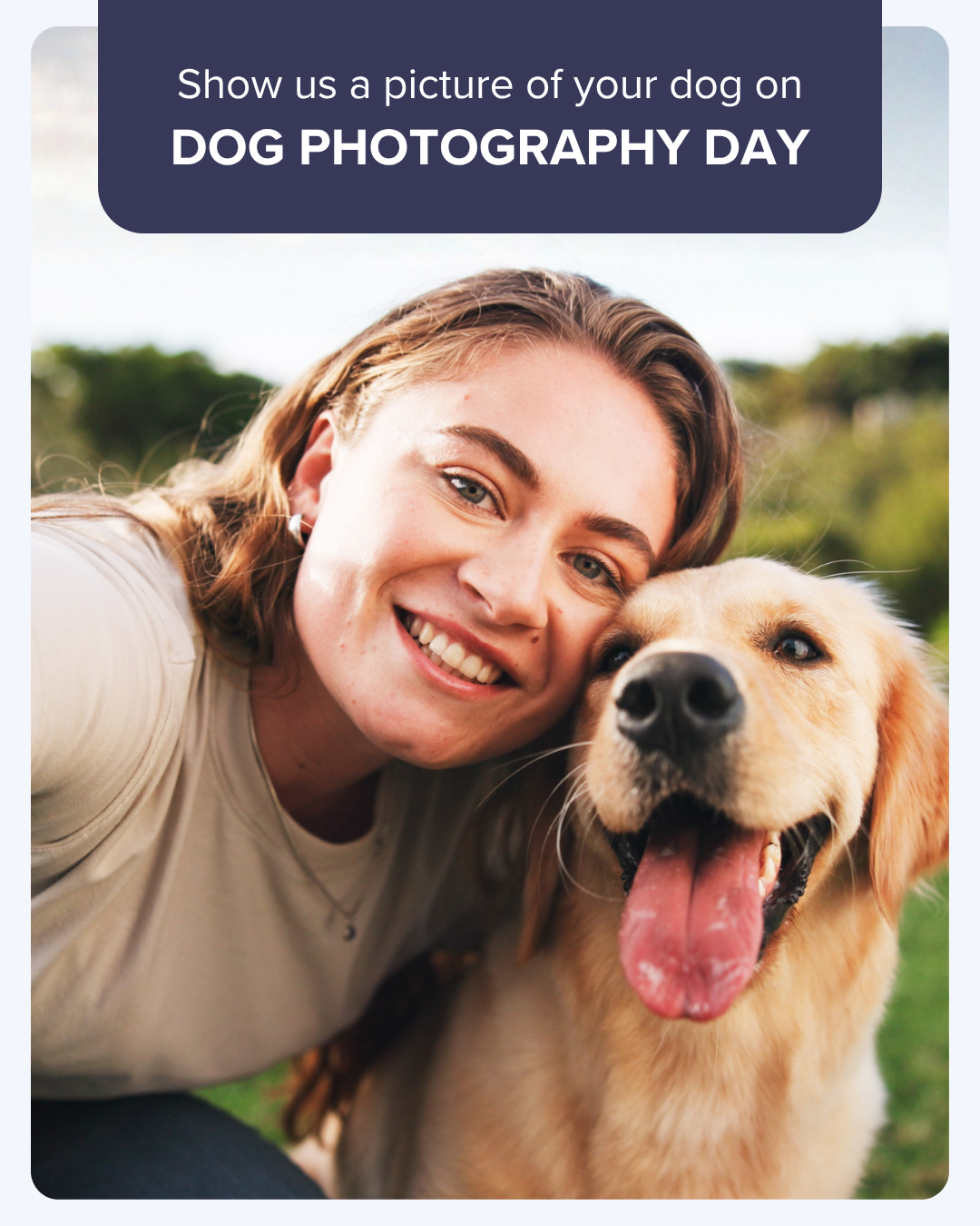 dog photography day graphic