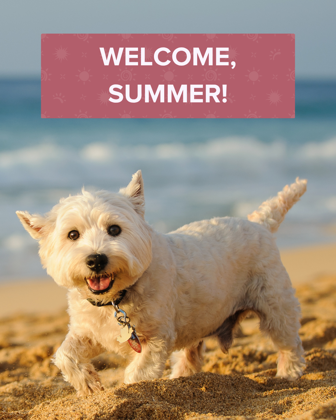 First day of summer graphic