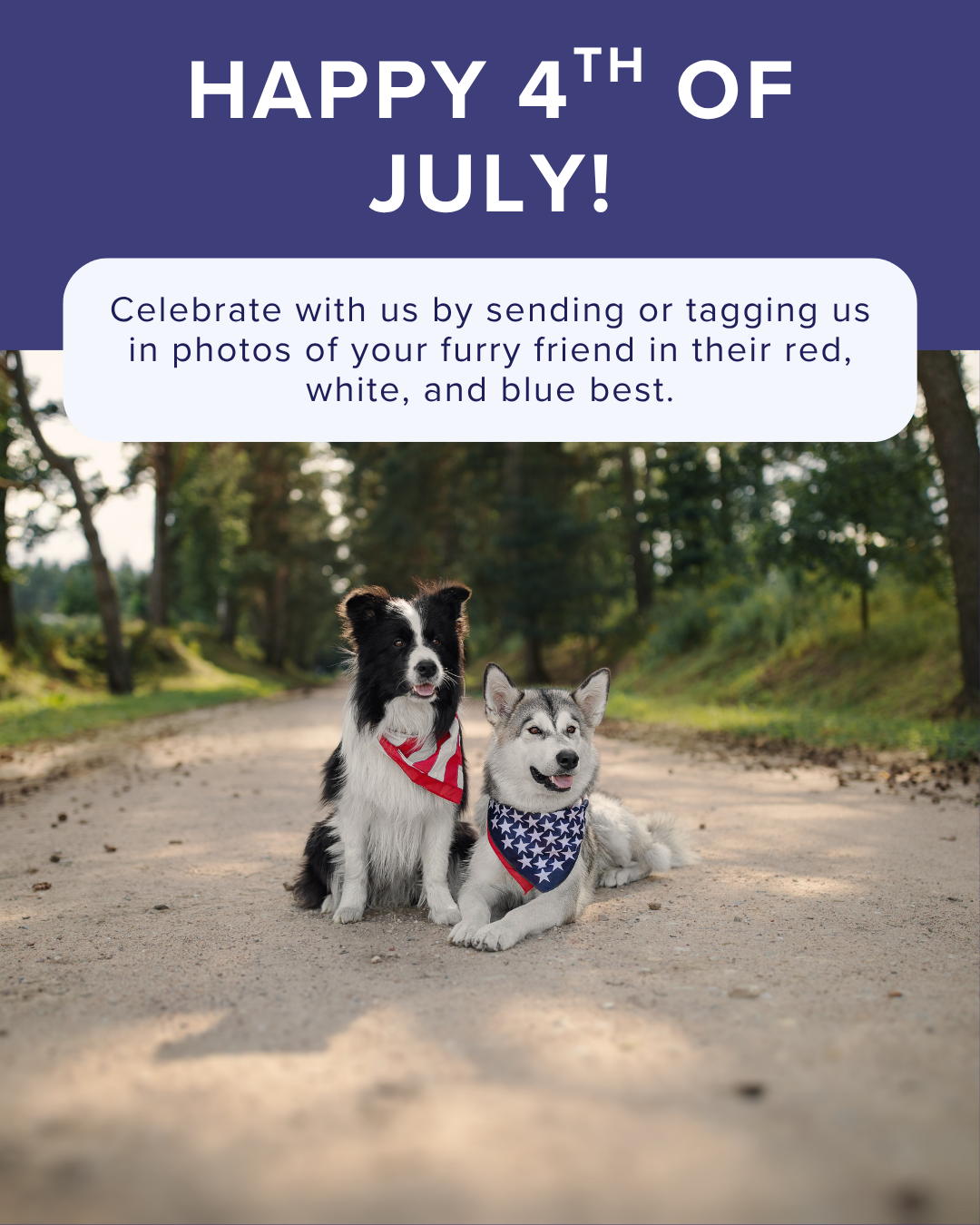 Happy 4th of July graphic
