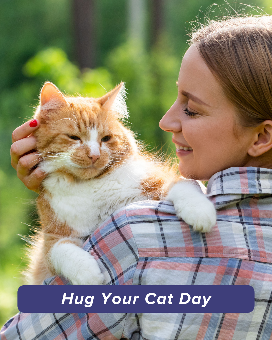 Hug your cat day social graphic