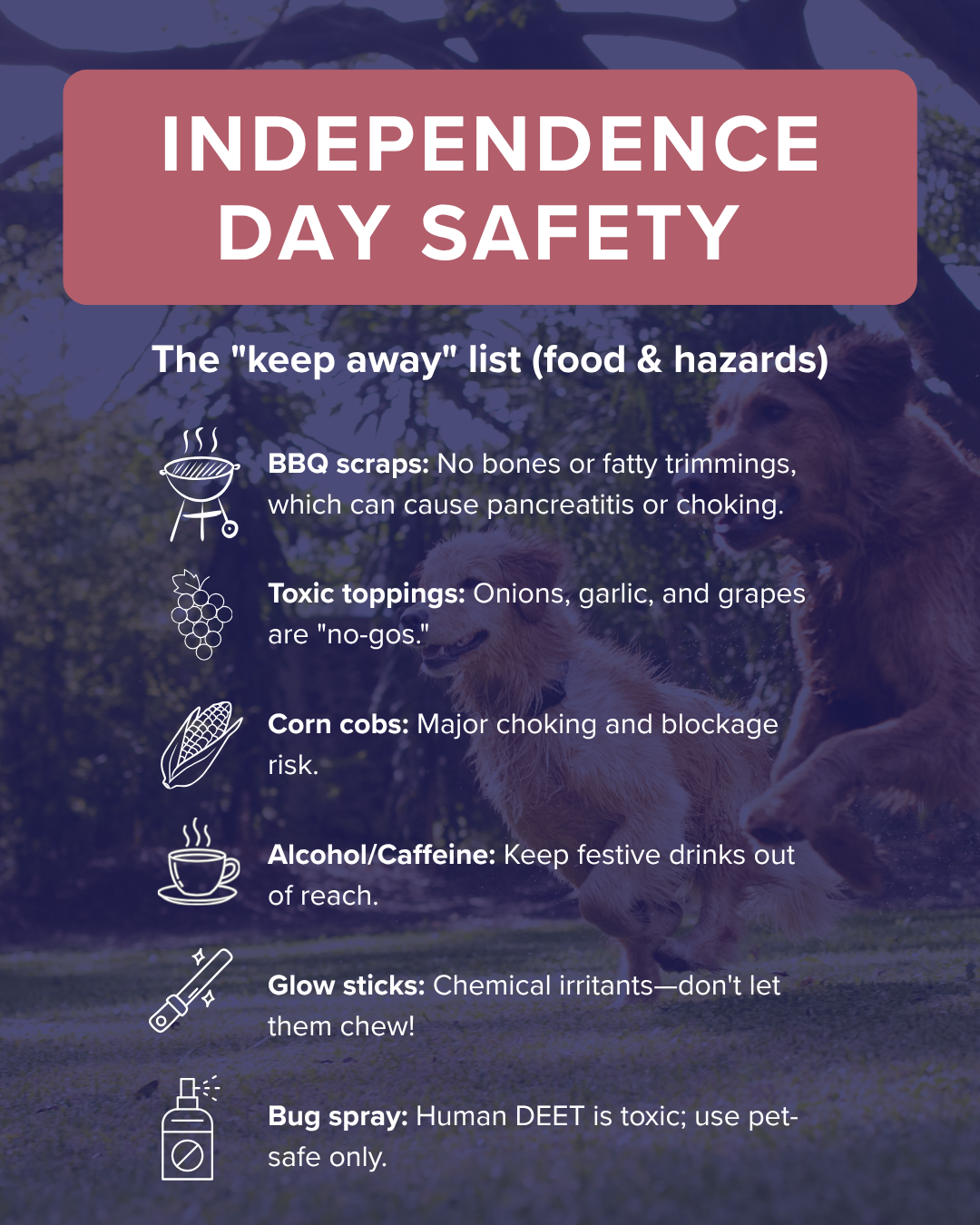 Independence day safety graphic