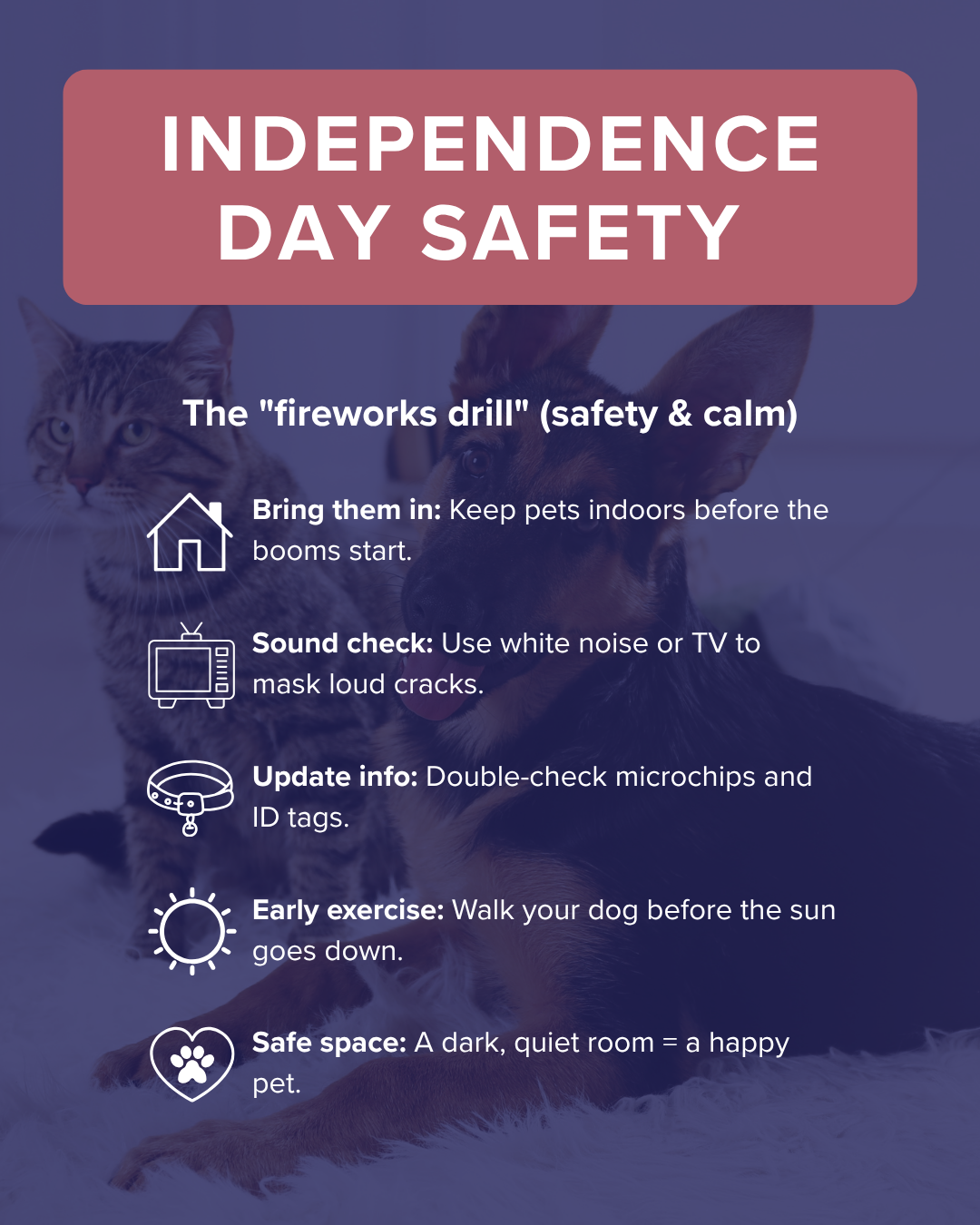 Independence day safety graphic