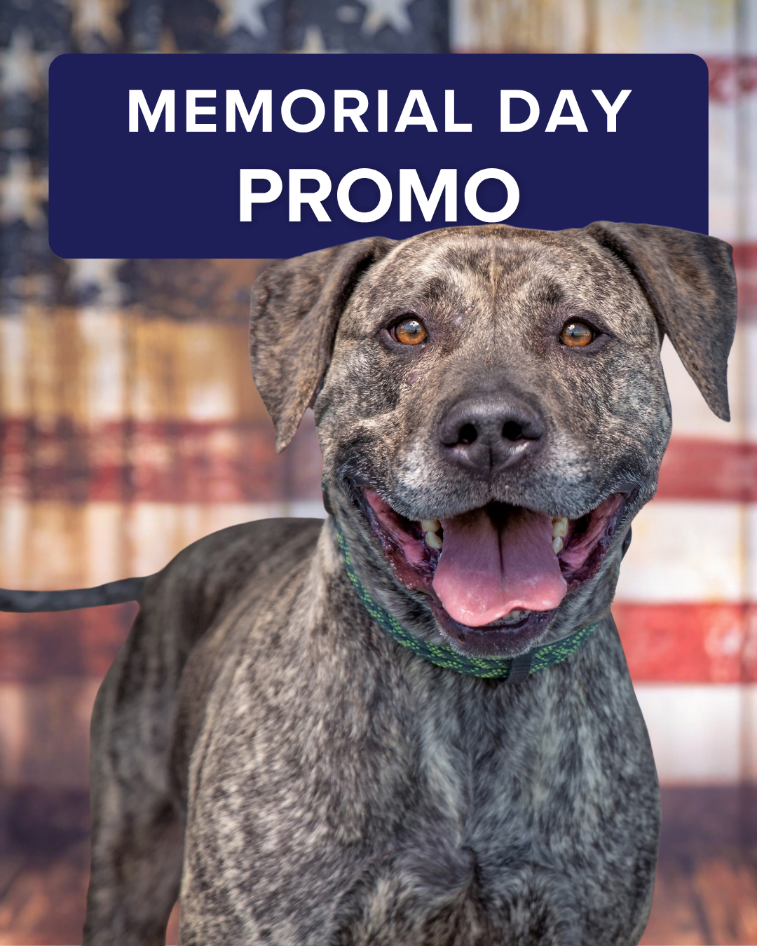 Memorial day promo graphic