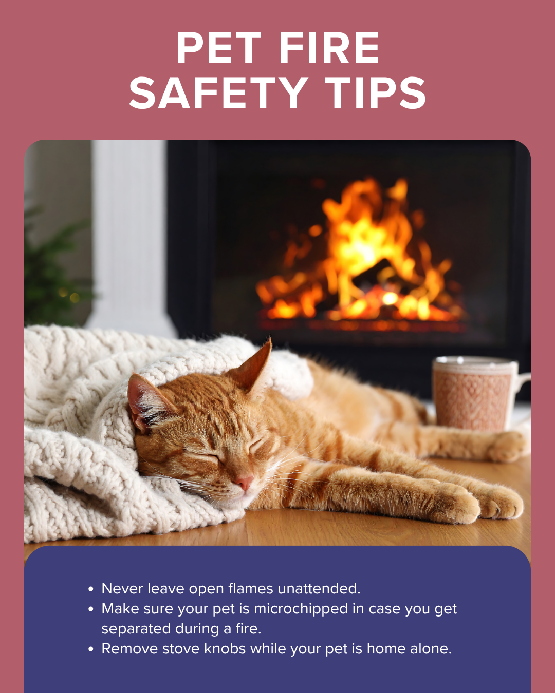 Pet fire safety tips graphic