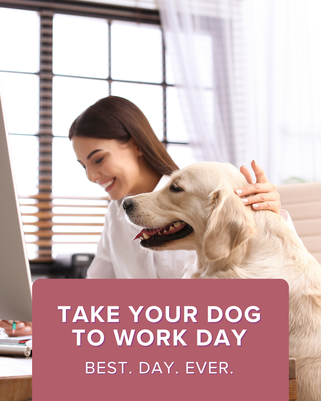 Take your dog to work day social graphic