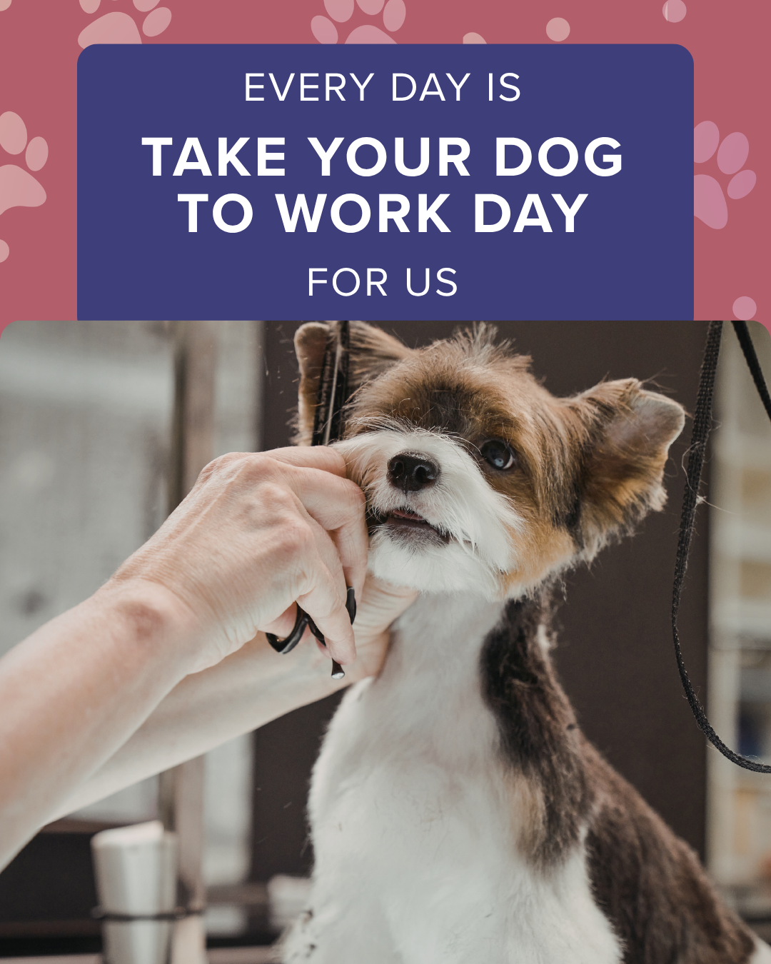 Take your dog to work day graphic